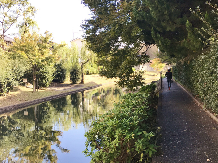 20181030_010937635_iOS