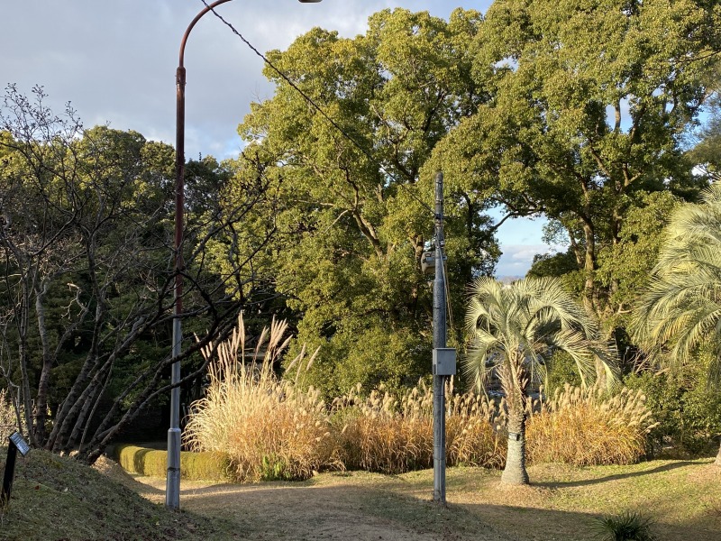 20231217_062906045_iOS