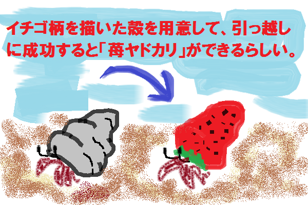 ヤドカリ
