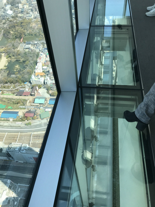20190404_011501455_iOS