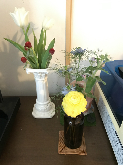 20190220_233247228_iOS