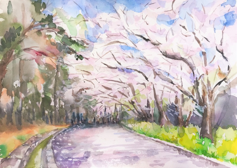 桜スケッチ会の作品&アート情報🎨