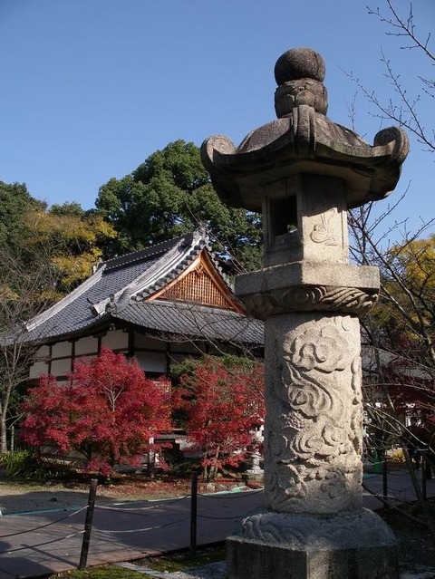 2010-11-26 11-25-48