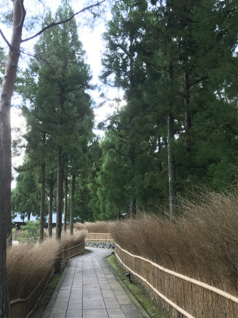 20190904_050335787_iOS