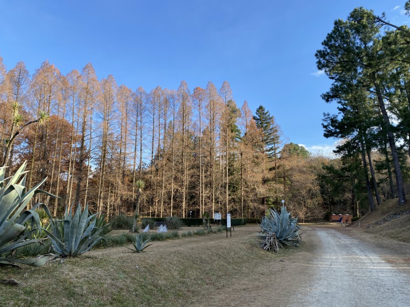 20231217_061141824_iOS