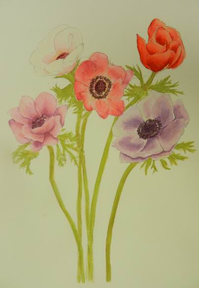 16Mさん作品