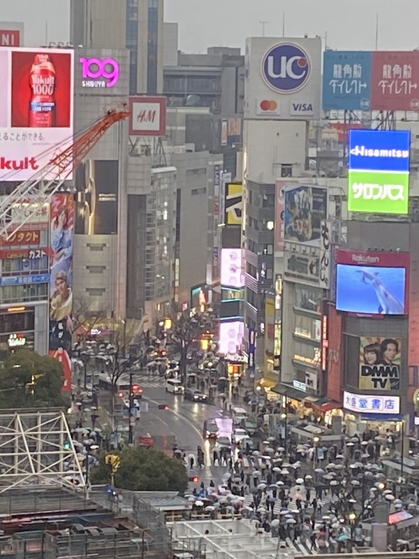 20250308_080006194_iOS