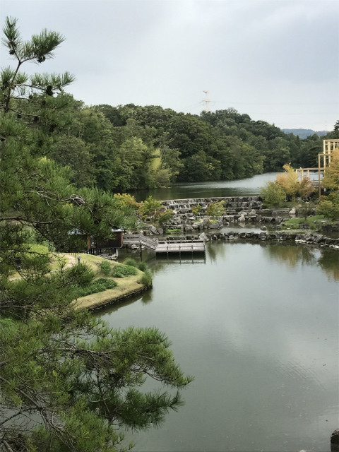 20190904_050543157_iOS