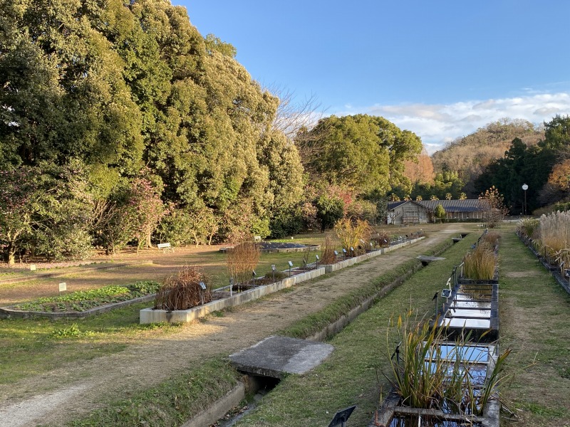 20231217_064625393_iOS