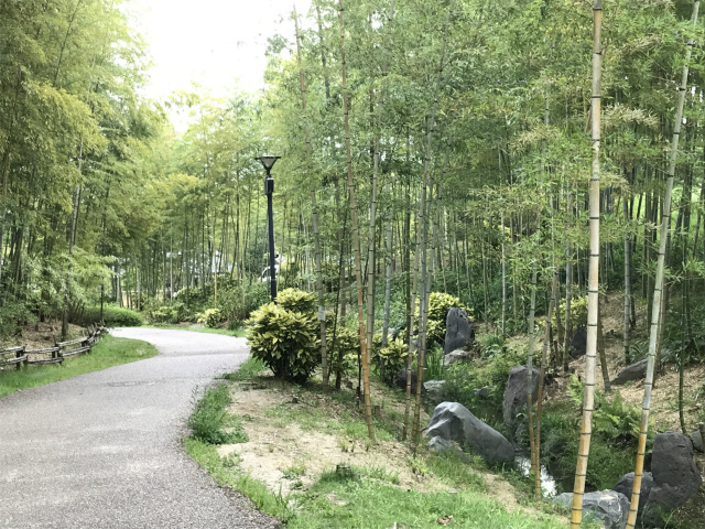 20190904_045459473_iOS
