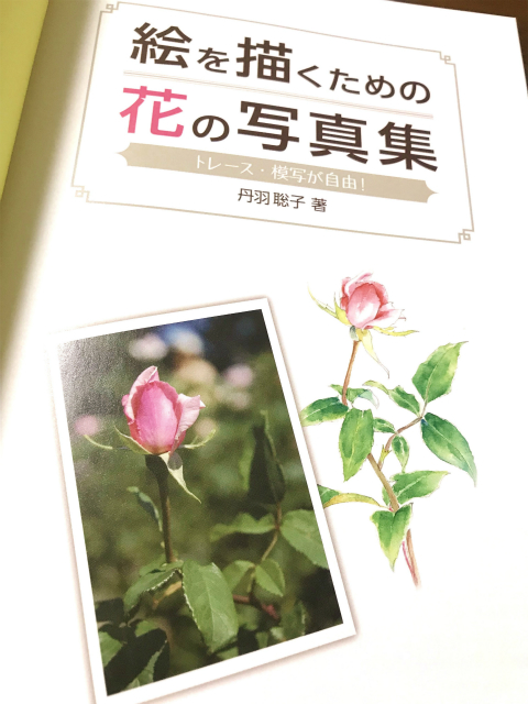 20181009_104715745_iOS