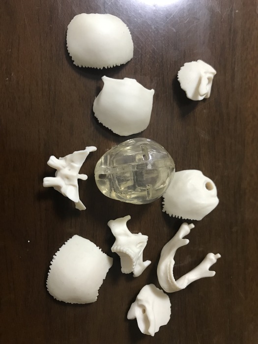 20190624_124848372_iOS
