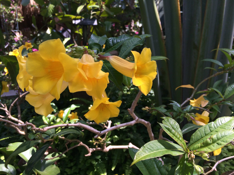 20160504_014637530_iOS