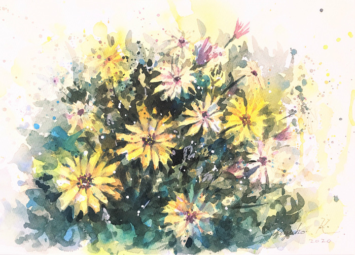 【動画】STAY HOME SKETCH ベランダでお花を描く2