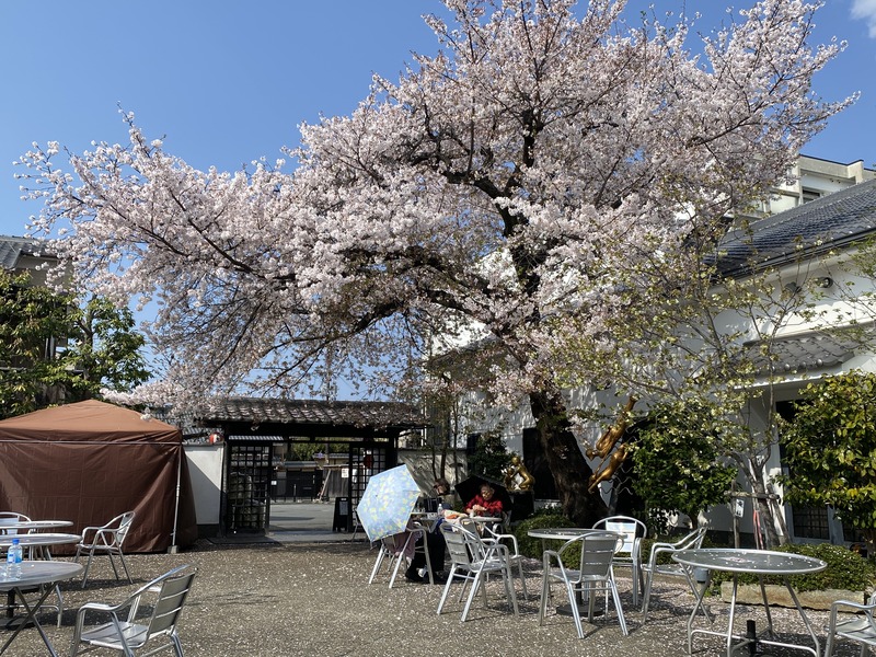 20250411_054945927_iOS