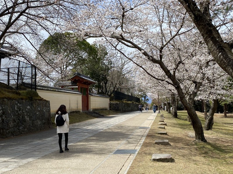 20250331_025141441_iOS