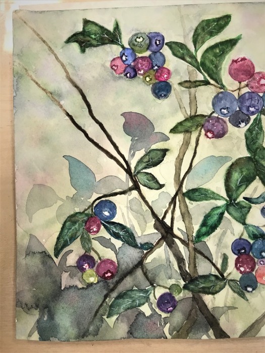 20190121_061145635_iOS