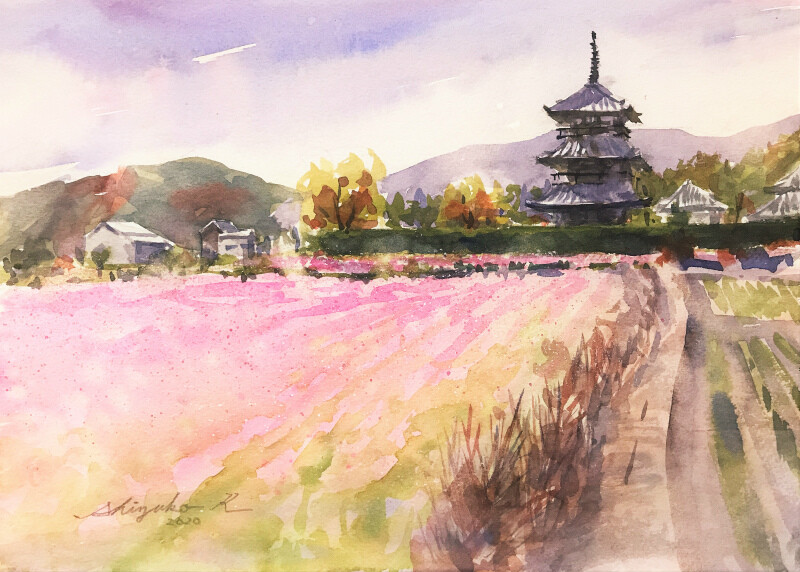 奈良【法起寺とコスモス畑】スケッチ 完成～🎨 : 水彩的生活KUROKAWAの