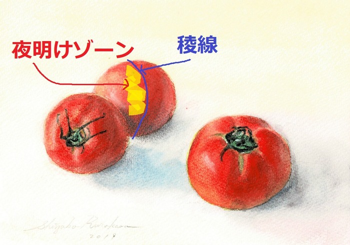 トマト夜明けゾーン 稜線