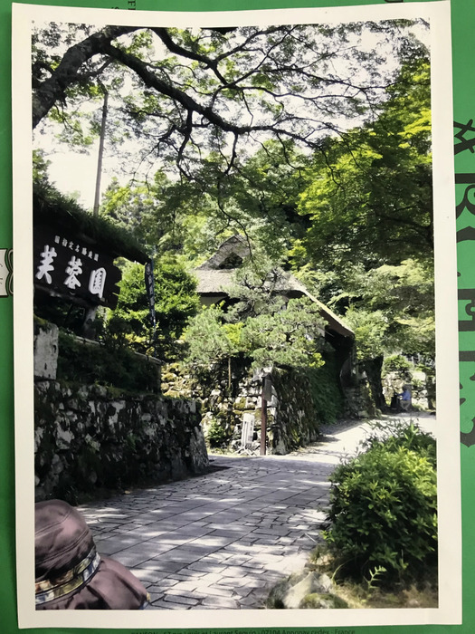 20180424_043454691_iOS