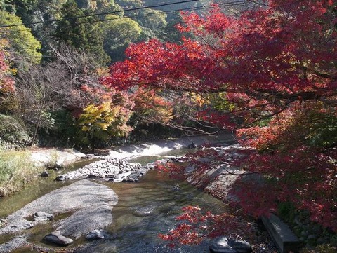 京都～♪大原「三千院」♪　に行って来ました♪