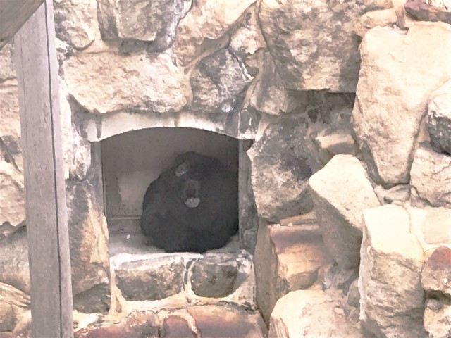 20191128_031028855_iOS