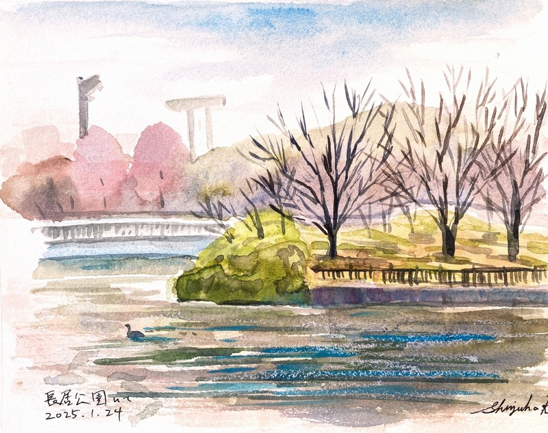 2025.01.24透明水彩スケッチ「長居植物園にて」サムサイズ