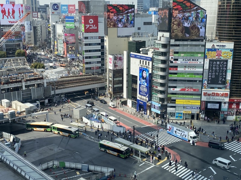 20250327_030848270_iOS