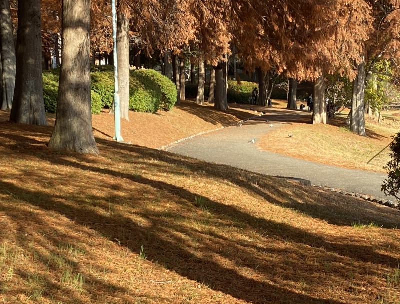 20231210_005135194_iOS