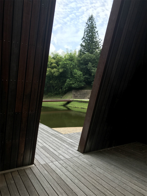 20190822_013317931_iOS