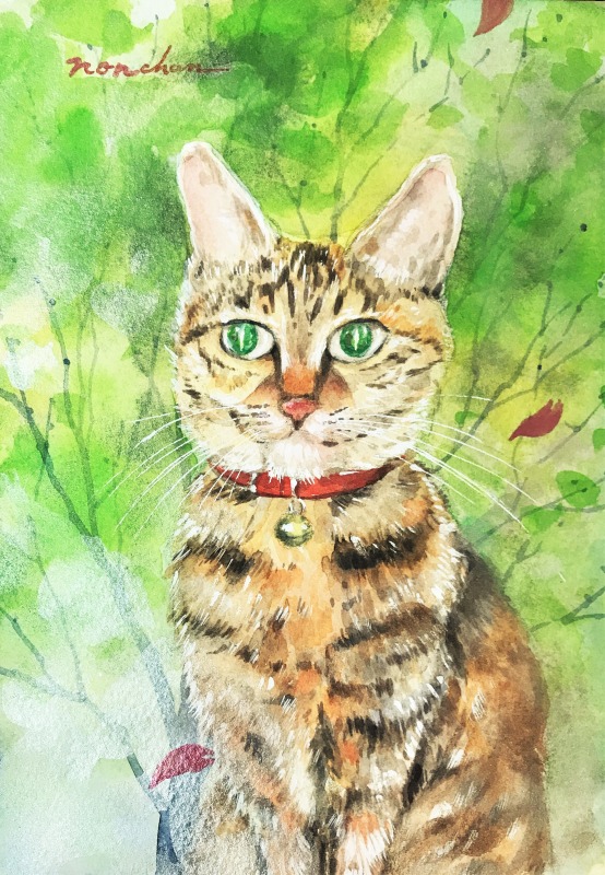 お友達の猫「ノンちゃん」を透明水彩で描かせていただきました(=^・^=)