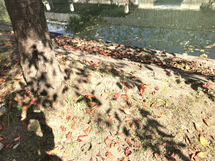 20181030_030646957_iOS