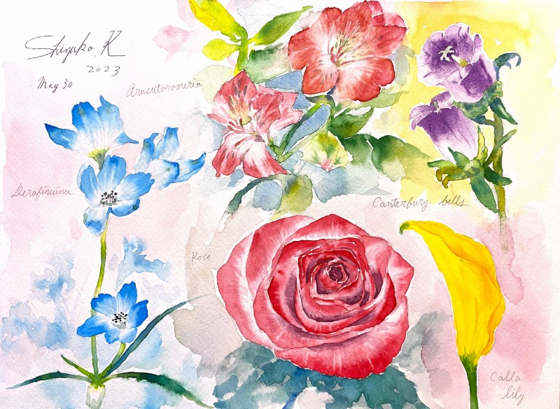 「花を描くワークショップ」の花を描きました🌸🌼🌷