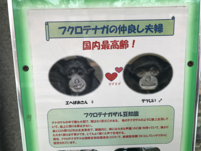 20191128_031016906_iOS