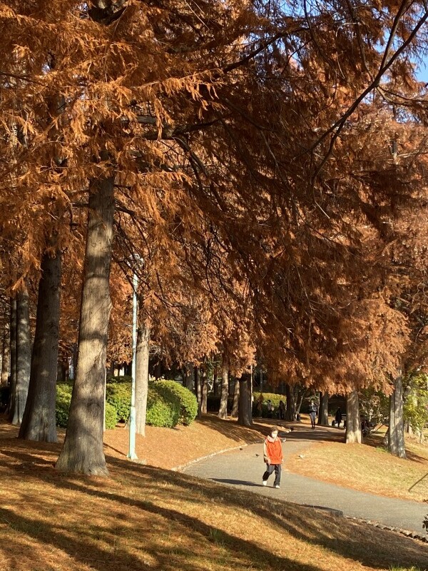 20231210_005111593_iOS