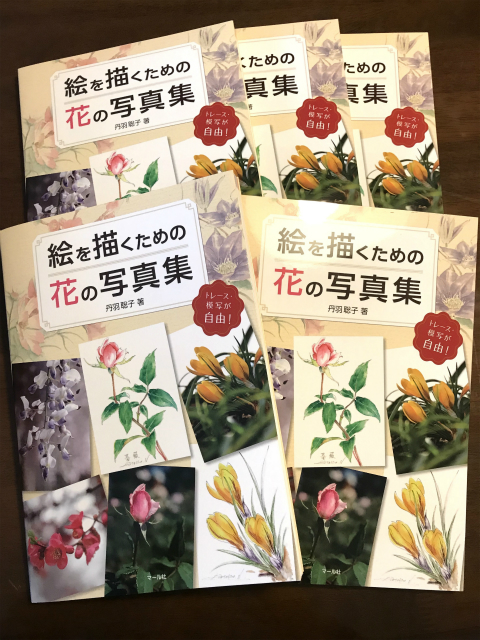 20181011_230504247_iOS