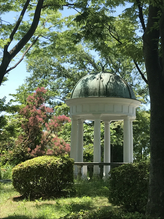 20200528iPhone (7)