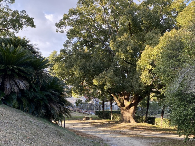 20231217_061240576_iOS