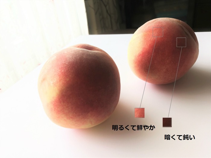 明暗境界線彩度逆転4 - コピー