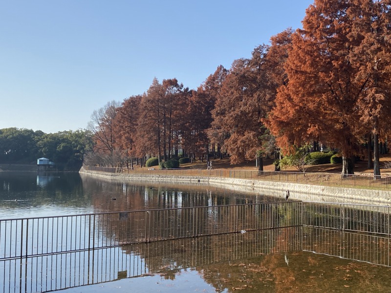 20231210_004659385_iOS