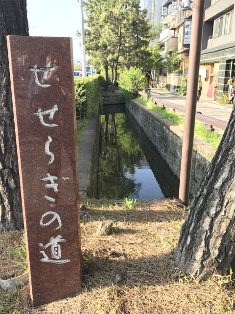 20190422_074929310_iOS