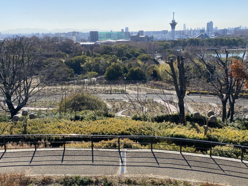 20240117_040627982_iOS