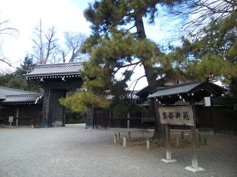 2011-01-13 11-22-44