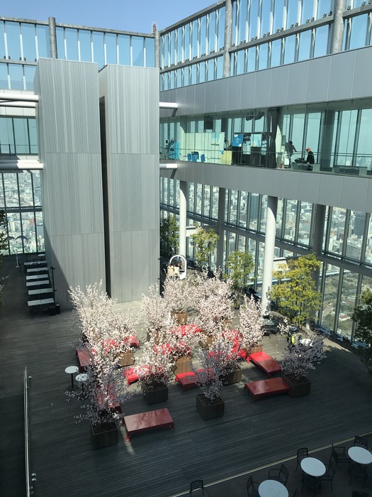 20190404_010657581_iOS