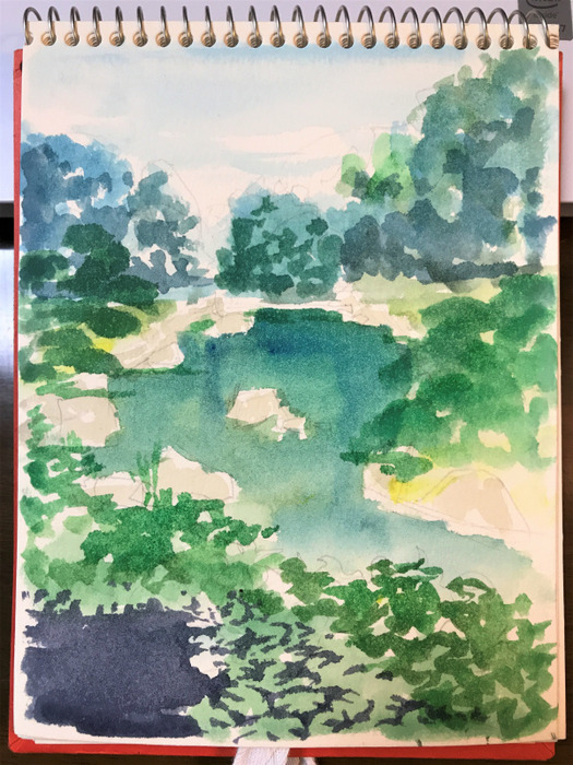 2019.07.13天王寺公園慶沢園スケッチF0途中 (3)
