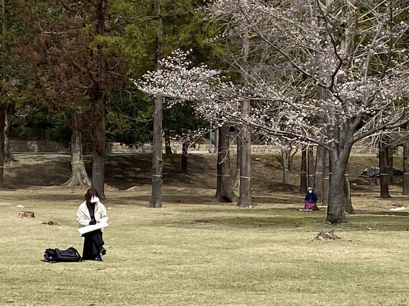 20250331_025632408_iOS