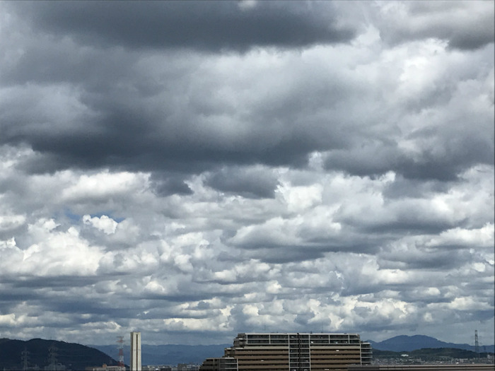 20190726_025600023_iOS