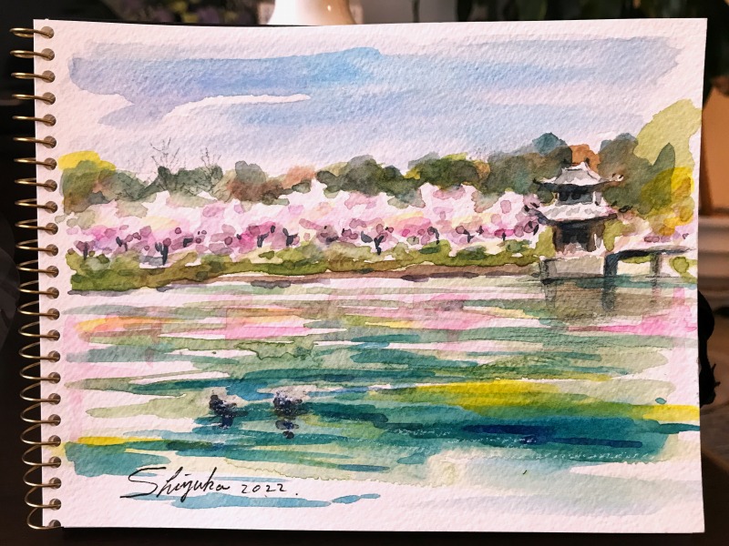 透明水彩画原画桜と山吹の散歩道 71DDXtyFQsL._UF894,1000_QL80_.jpg