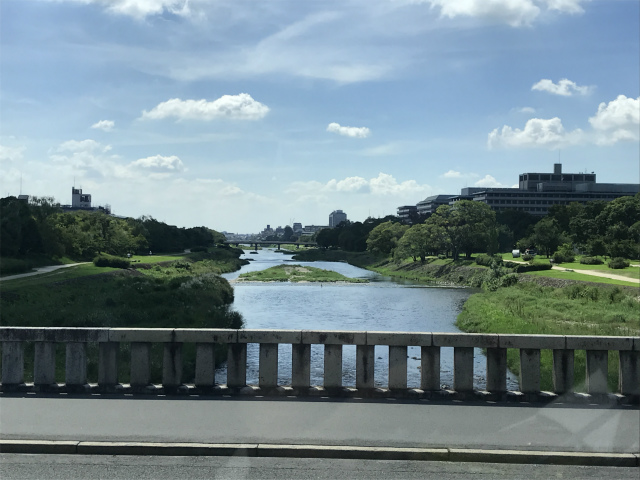 20190909_021259011_iOS