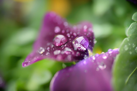 DSC_7644-Edit